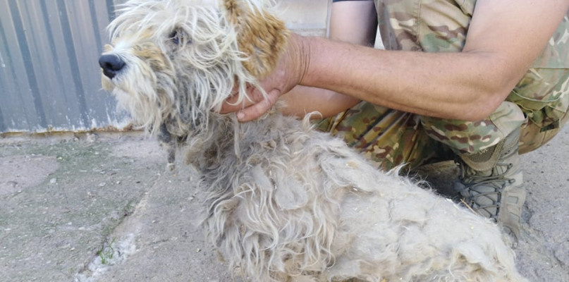 foto.: Komenda Powiatowa Policji w Jarocinie