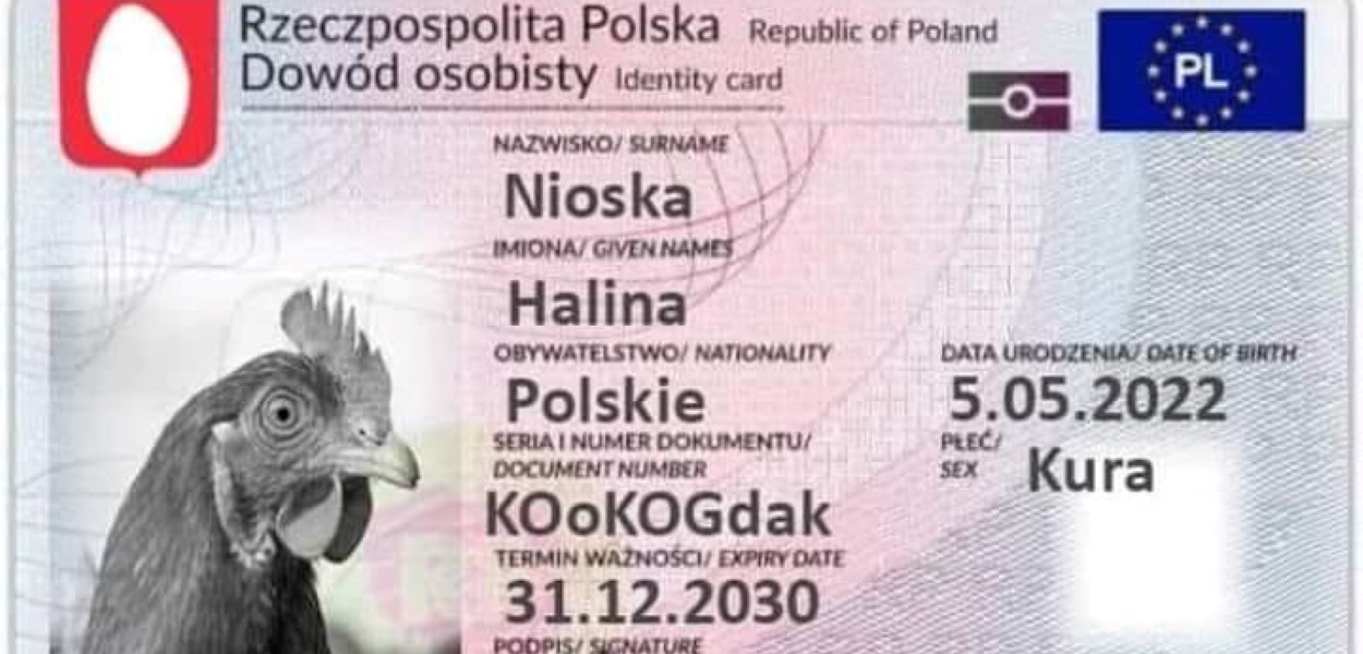 Koniec rosołu z wiejskiej kury? Nowe przepisy wydają się być absurdalne