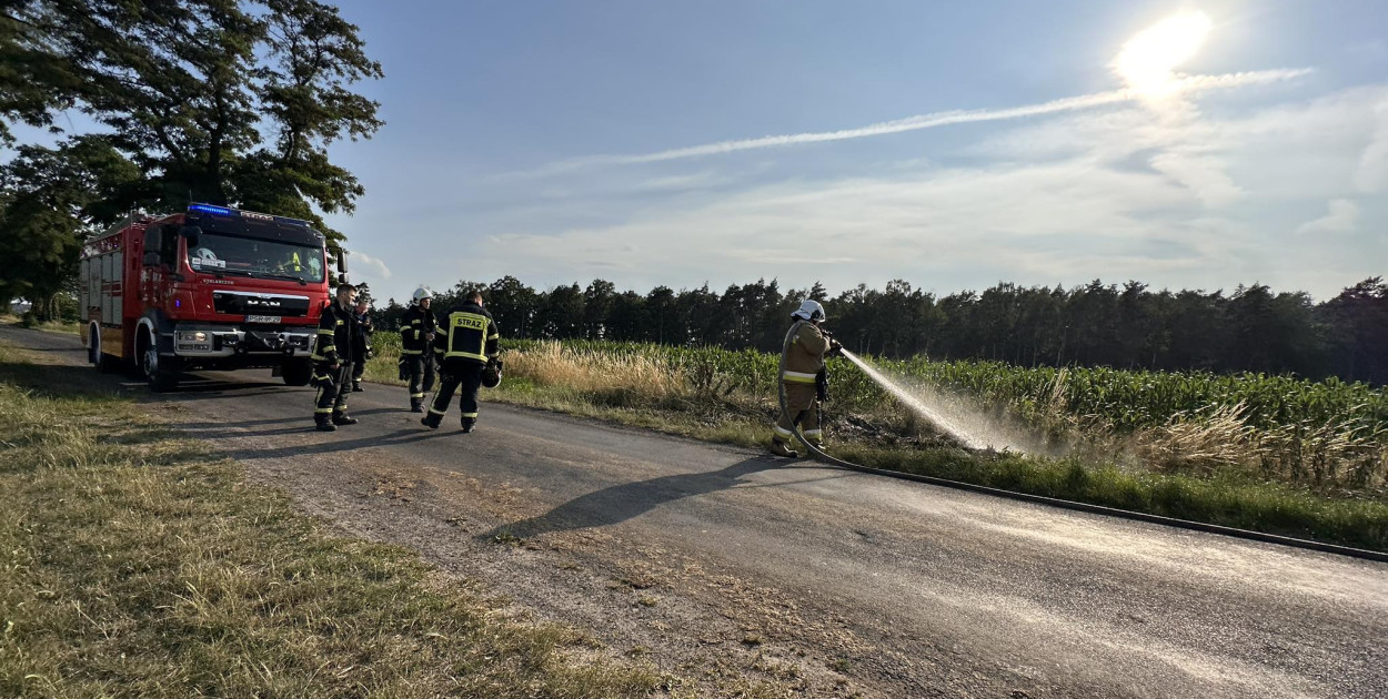 Pożar przy drodze na Radliniec. Wezwano dziewięć zastępów strażackich (ZDJĘCIA)