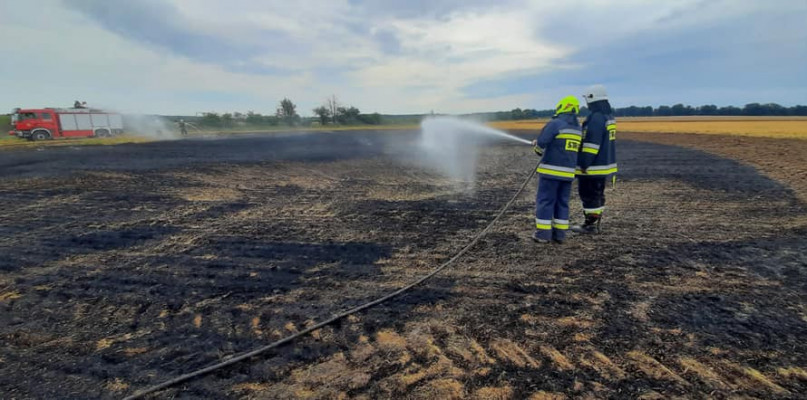 foto.: Sołectwo Potarzyca