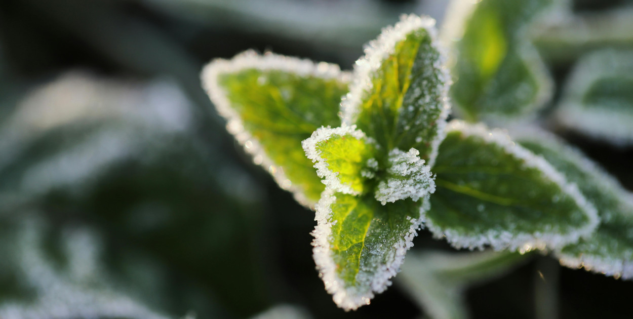 zdjęcie ilustracyjne, foto: pexels.com