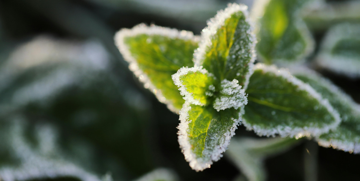 zdjęcie ilustracyjne, foto: pexels.com