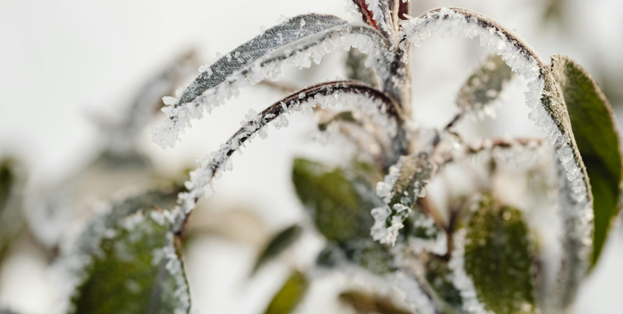 zdjęcie ilustracyjne, foto: pexels.com
