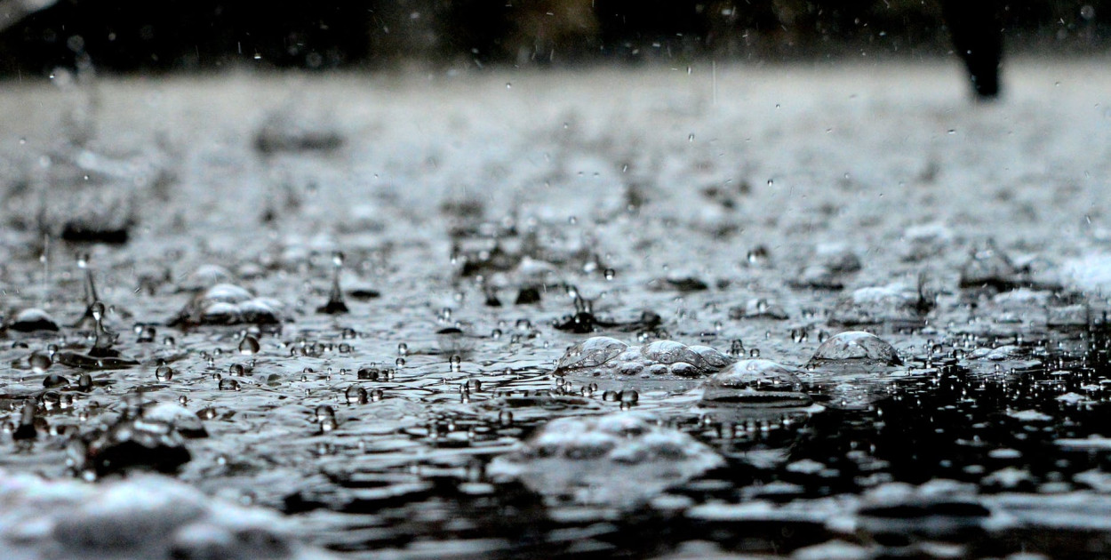 zdjęcie ilustracyjne/foto.: pexels.com.pl