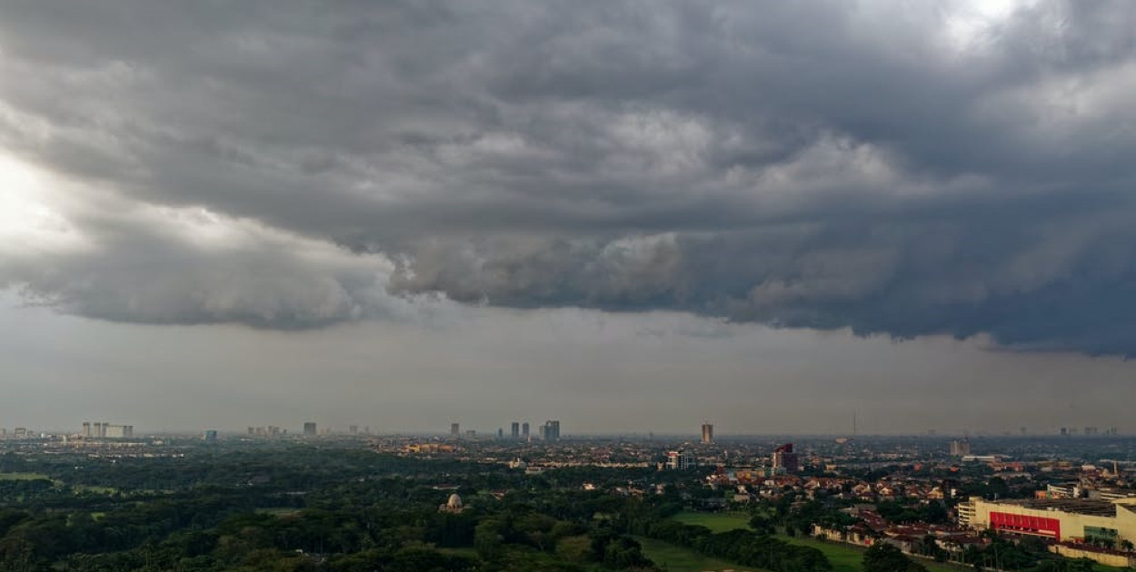 zdjęcie ilustracyjne/foto.: pexels.com.pl
