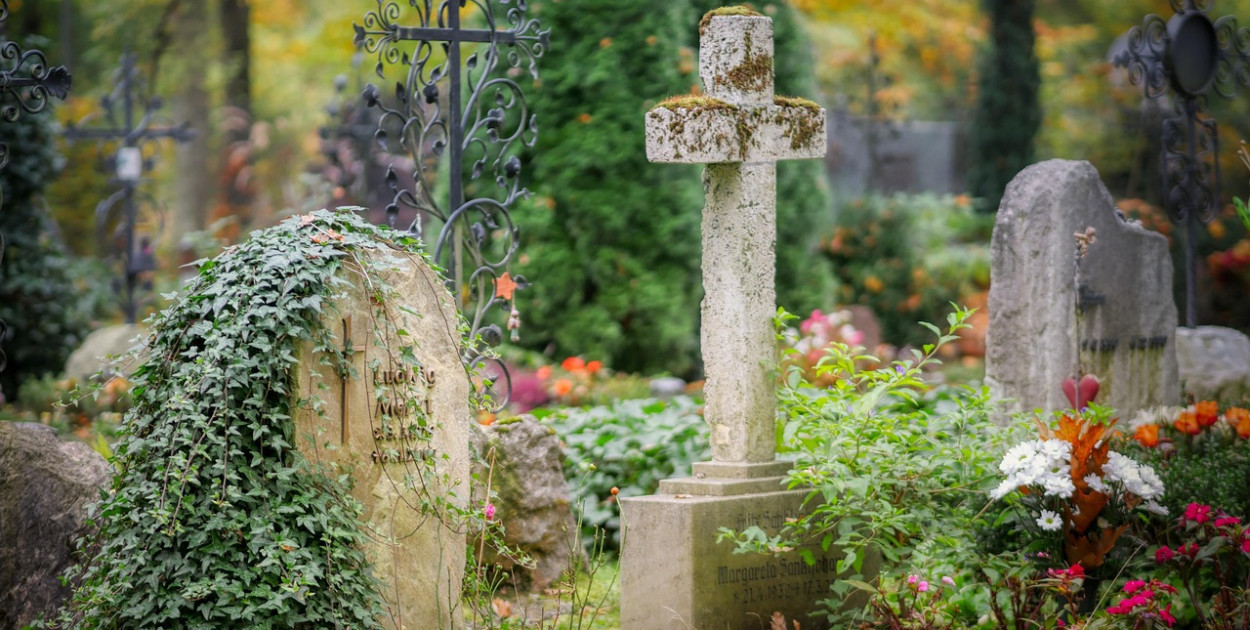 Image by Albrecht Fietz from Pixabay