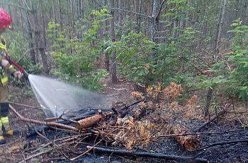 Dwa dni. Dwa pożary w lasach na terenie gminy Jarocin-899