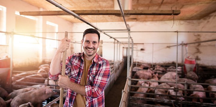 Praca na Fermie Trzody, wynagrodzenie nawet 6000 zł-8246