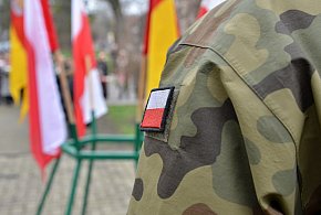 Wojsko zaprasza Polaków. Zacznie się w maju, skończy się w lipcu-9301