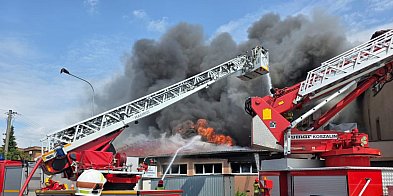 Strażacy OSP Ludwinów gasili pożar hurtowni zabawek-13863