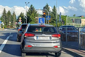 Egzamin na prawo jazdy będzie inny. Od 1 lipca nowe zasady-14072
