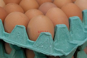 Salmonella na jajach znanej marki. Nie jedz, jeśli masz je w lodówce!-14166