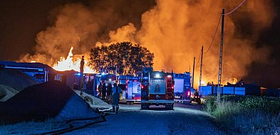 Jeden z największych pożarów w regionie. Ogień w tartaku pod Kaliszem (ZDJĘCIA)-14261