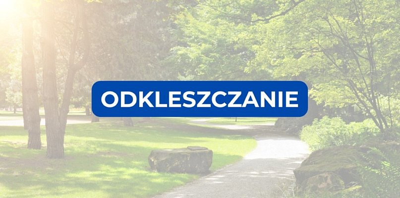 Wieczorne opryski w Parku Radolińskich. Komary i kleszcze znikną przed festiwalem - 14376