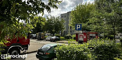 Służby otworzyły mieszkanie. W środku znaleziono ciało kobiety-14796