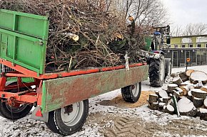 Mieszków połączył siły: park uprzątnięty, droga bezpieczniejsza, pomoc dla schroniska-2742