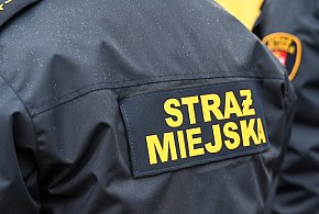 Zapuka strażnik, zapłacisz karę. Ruszyły kontrole w całej Polsce-15572
