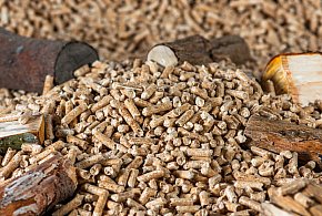 Drożeje popularny opał. Miliony Polaków dostaną po kieszeni tej zimy-15796