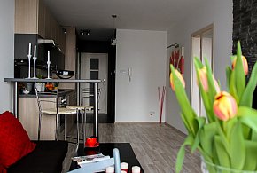 Rewolucja w wynajmie na doby. Nadchodzi koniec "wolnej amerykanki"-16372