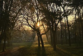 Nadchodzi najkrótszy dzień w 2025 roku. Sprawdź, kiedy przypadnie-16595