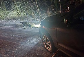 Auto zawisło na drzewie. Poważne utrudnienia na drodze Szypłów–Mieszków (ZDJĘCIA)-16795