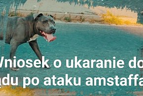 Seria agresywnych ataków psa w Jarocinie. Jest wniosek o odebranie zwierzęcia