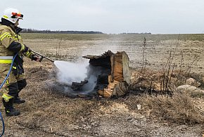 Gorące popołudnie na lokalnej drodze. Zapalił się… konar drzewa (ZDJĘCIA)