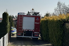 Pożar na ogródkach działkowych w Jarocinie. Na miejscu strażacy (ZDJĘCIA)