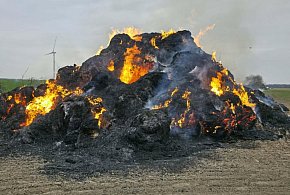 150 balotów w ogniu. Strażacy gaszą pożar w Potarzycy (ZDJĘCIA)