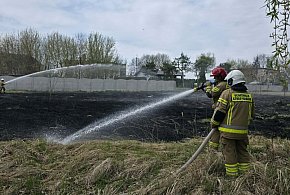 Pożar przy ul. Leśnej w Witaszycach. Strażacy szybko opanowali sytuację (ZDJĘCIA)