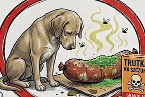 Truciciel psów w Jarocinie? Niepokojące zgłoszenia z osiedla Bogusław