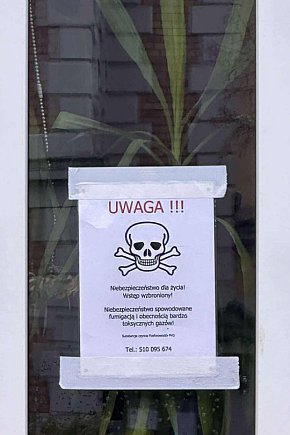Tajemnicze czaszki i biało-czerwona taśma wokół prokuratury w Jarocinie.-2525