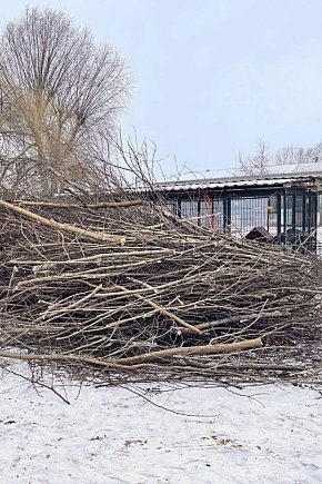 Mieszków połączył siły: park uprzątnięty, droga bezpieczniejsza, pomoc dla schroniska-2742