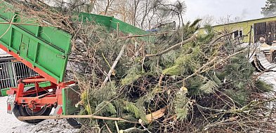 Sprzątali, pomagali, dbali o bezpieczeństwo. Społeczna akcja mieszkańców Mieszkowa-16801