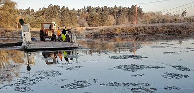 Wznowiono przeprawę promową w Dębnie. Sprawdź godziny kursowania!