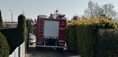 Pożar na ogródkach działkowych w Jarocinie. Na miejscu strażacy (ZDJĘCIA)