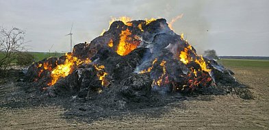 150 balotów w ogniu. Strażacy gaszą pożar w Potarzycy (ZDJĘCIA)