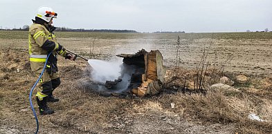 Gorące popołudnie na lokalnej drodze. Zapalił się… konar drzewa (ZDJĘCIA)