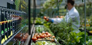 Nowoczesne rolnictwo miejskie: Jak otworzyć własny growshop i odnieść sukces