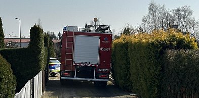 Pożar na ogródkach działkowych w Jarocinie. Na miejscu strażacy (ZDJĘCIA)