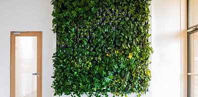 Biuro z charakterem dzięki ścianie wertykalnej i żywym ścianom z roślin