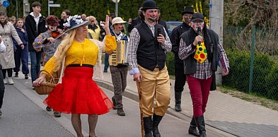 Niedźwiedzie na Bogusławiu FOTORELACJA