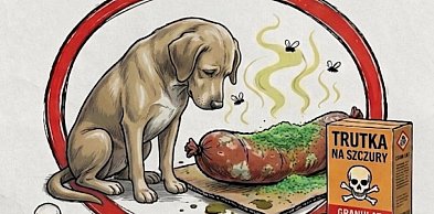 Truciciel psów w Jarocinie? Niepokojące zgłoszenia z osiedla Bogusław