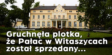 6,5 mln zł, stare cegły i tajemniczy właściciel. Zagadka pałacu w Witaszycach-15660