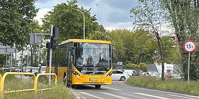 1 listopada bez korków? Skorzystaj z bezpłatnej komunikacji w Jarocinie-15791