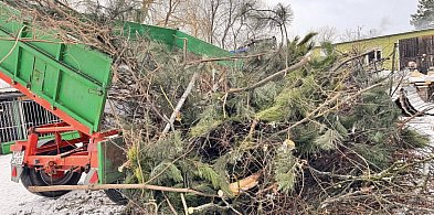 Sprzątali, pomagali, dbali o bezpieczeństwo. Społeczna akcja mieszkańców Mieszkowa-16801