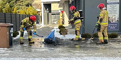 Pożar śmietnika w centrum Jarocina. Interweniowali strażacy (ZDJĘCIA)-16804