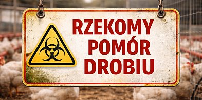 Rzekomy pomór drobiu w gminie Jarocin. 10 miejscowości w obszarze zagrożonym