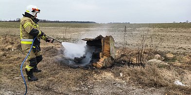 Gorące popołudnie na lokalnej drodze. Zapalił się… konar drzewa (ZDJĘCIA)