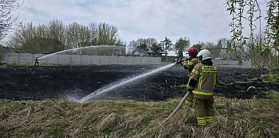Pożar przy ul. Leśnej w Witaszycach. Strażacy szybko opanowali sytuację (ZDJĘCIA)